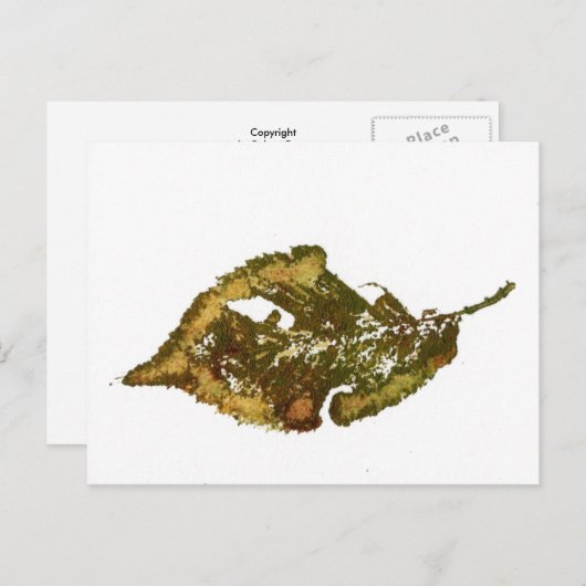 briefkaart Landwegen "Birch #2" (Voorkant / Achterkant)