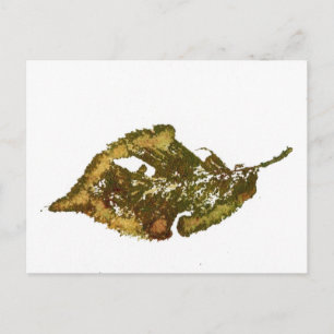 briefkaart Landwegen "Birch #2"