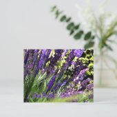 Briefkaart lavender (Staand voorkant)