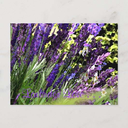 Briefkaart lavender (Voorkant)