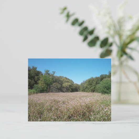 Briefkaart Lavender Fields (Staand voorkant)
