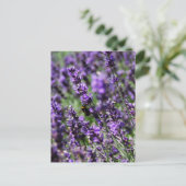 Briefkaart Lavender Fields (Staand voorkant)