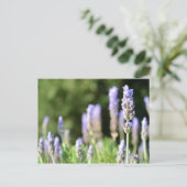 Briefkaart lavender-fotografie (Staand voorkant)