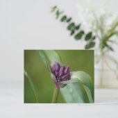 Briefkaart lavender Spiderwort Flower (Staand voorkant)