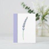 Briefkaart Lavender Sprig (Staand voorkant)