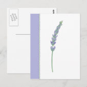 Briefkaart Lavender Sprig (Voorkant / Achterkant)