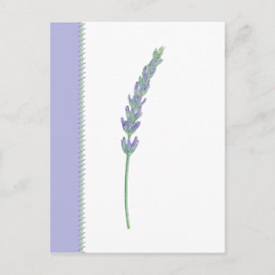 Briefkaart Lavender Sprig