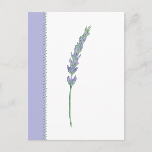 Briefkaart Lavender Sprig (Voorkant)