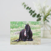 Briefkaart Lazy Days (Staand voorkant)