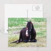 Briefkaart Lazy Days (Voorkant / Achterkant)