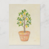 Briefkaart Lemon Tree (Voorkant)