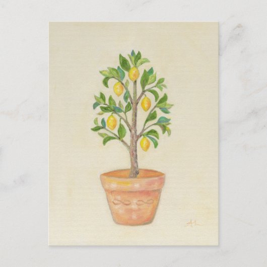 Briefkaart Lemon Tree (Voorkant)