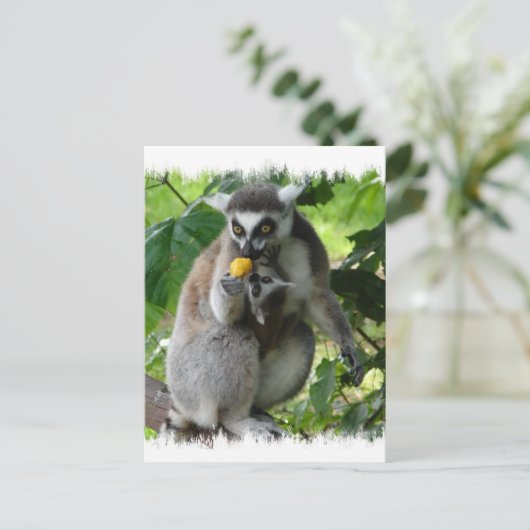 Briefkaart Lemur (Staand voorkant)