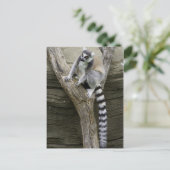Briefkaart Lemur (Staand voorkant)