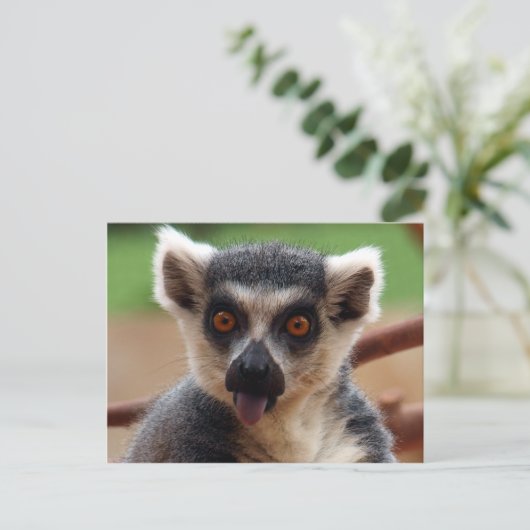 Briefkaart Lemur (Staand voorkant)