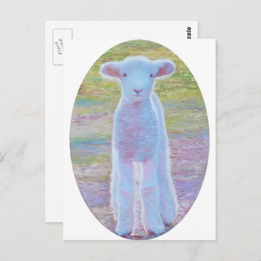 Briefkaart lentemallam (Voorkant / Achterkant)