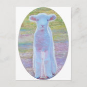 Briefkaart lentemallam (Voorkant)