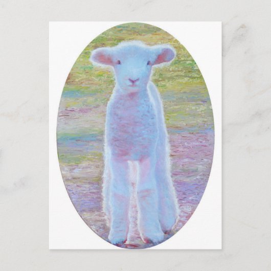 Briefkaart lentemallam (Voorkant)