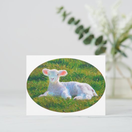 Briefkaart lentemallam (Staand voorkant)