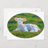 Briefkaart lentemallam (Voorkant / Achterkant)