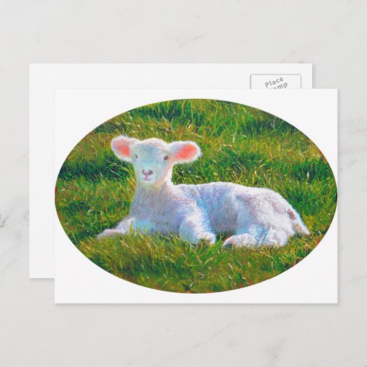 Briefkaart lentemallam (Voorkant / Achterkant)