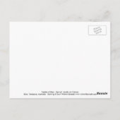 Briefkaart lentemallam (Achterkant)