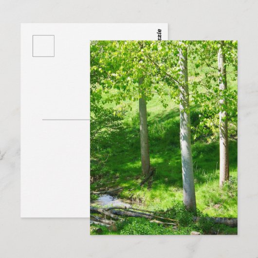 Briefkaart lentevloeistofolie (Voorkant / Achterkant)