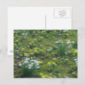 Briefkaart lentevloeren (Voorkant / Achterkant)