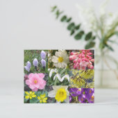 Briefkaart lentevloeren (Staand voorkant)