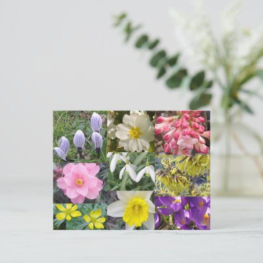 Briefkaart lentevloeren (Staand voorkant)