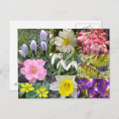 Briefkaart lentevloeren (Voorkant / Achterkant)