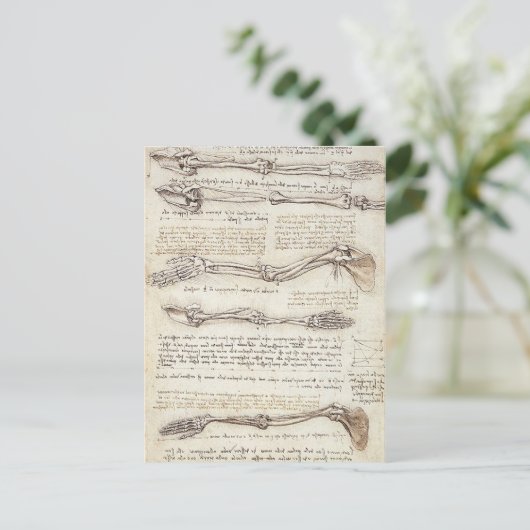 Briefkaart Leonardo Limb (Staand voorkant)