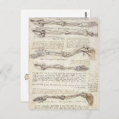 Briefkaart Leonardo Limb (Voorkant / Achterkant)