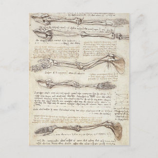 Briefkaart Leonardo Limb