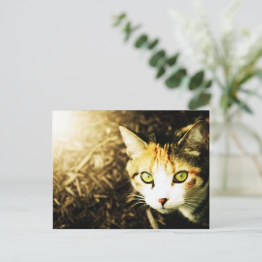 Briefkaart lichttablet in het najaar (Staand voorkant)