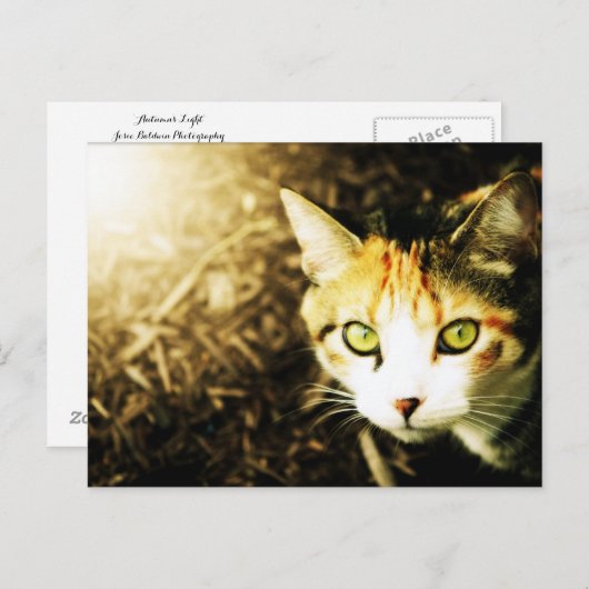 Briefkaart lichttablet in het najaar (Voorkant / Achterkant)