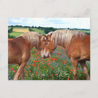 briefkaart "Liefde in de weide"