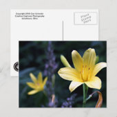 Briefkaart Lilies (Voorkant / Achterkant)