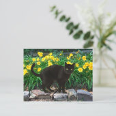 briefkaart "Little Beer" (Staand voorkant)