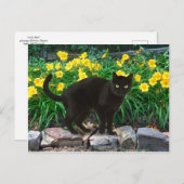 briefkaart "Little Beer" (Voorkant / Achterkant)