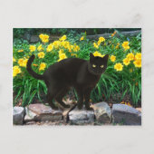 briefkaart "Little Beer" (Voorkant)