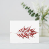briefkaart "Little Red Oak" (Staand voorkant)