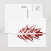 briefkaart "Little Red Oak" (Voorkant / Achterkant)