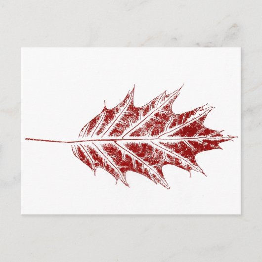 briefkaart "Little Red Oak" (Voorkant)