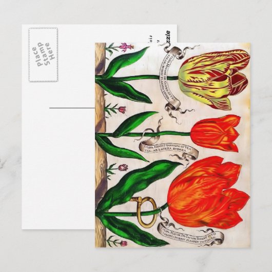 Briefkaart Livres De Fleurs (Voorkant / Achterkant)