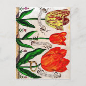 Briefkaart Livres De Fleurs (Voorkant)