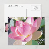 Briefkaart Lotus Flower (Voorkant / Achterkant)
