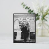 Briefkaart-Love Art House-Downtown 8 Briefkaart (Staand voorkant)