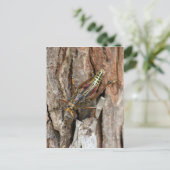 Briefkaart Lubber Grasshopper (Staand voorkant)