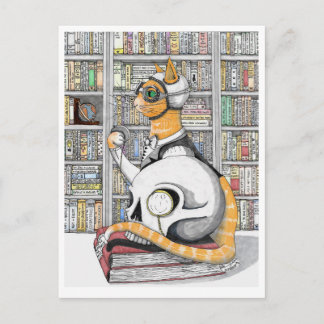Briefkaart: Luchtvaart voor katten Briefkaart